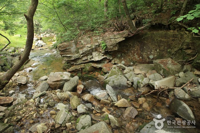 충청북도_진천군_연곡계곡_011