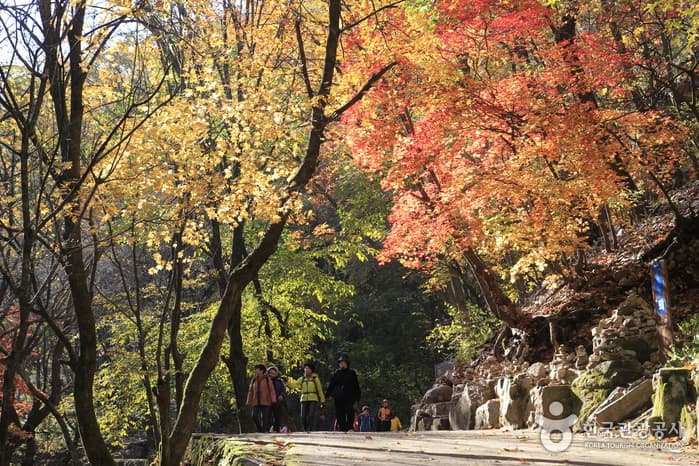 강원춘천시티투어_2코스_강촌 구곡폭포 (2)