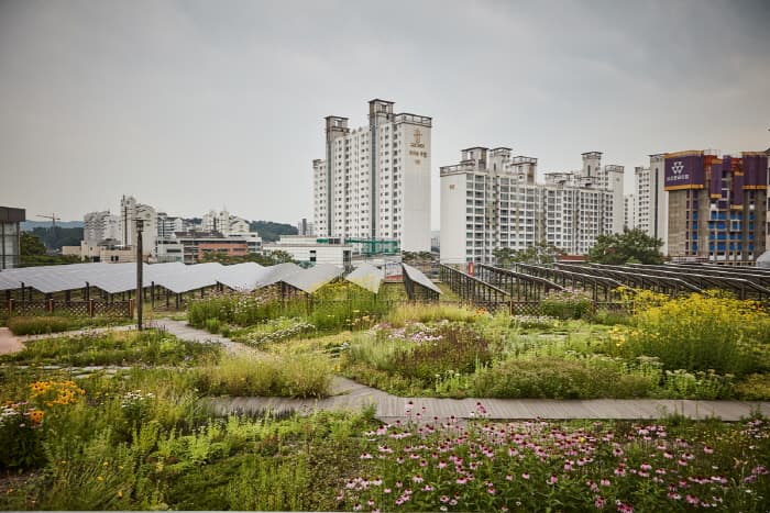 한국문화연구원_북서울꿈의숲 46