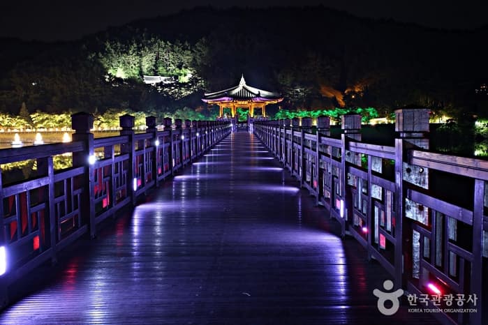 경북_안동_열대야 날려줄 달빛 야행, 안동 월영교와 낙동강음악분수_05