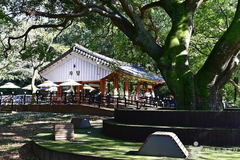 Chadam (차담)