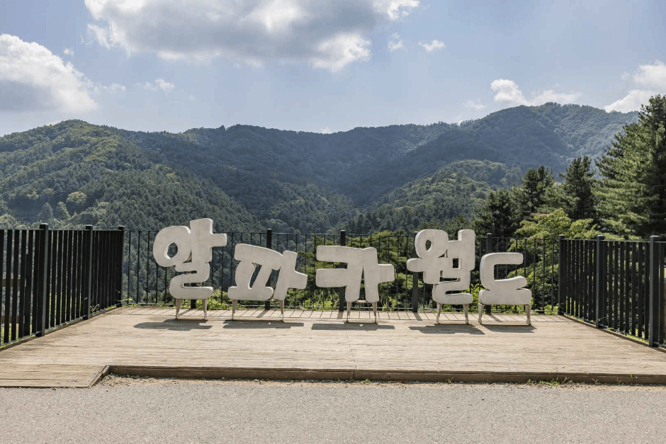 알파카월드 (1)