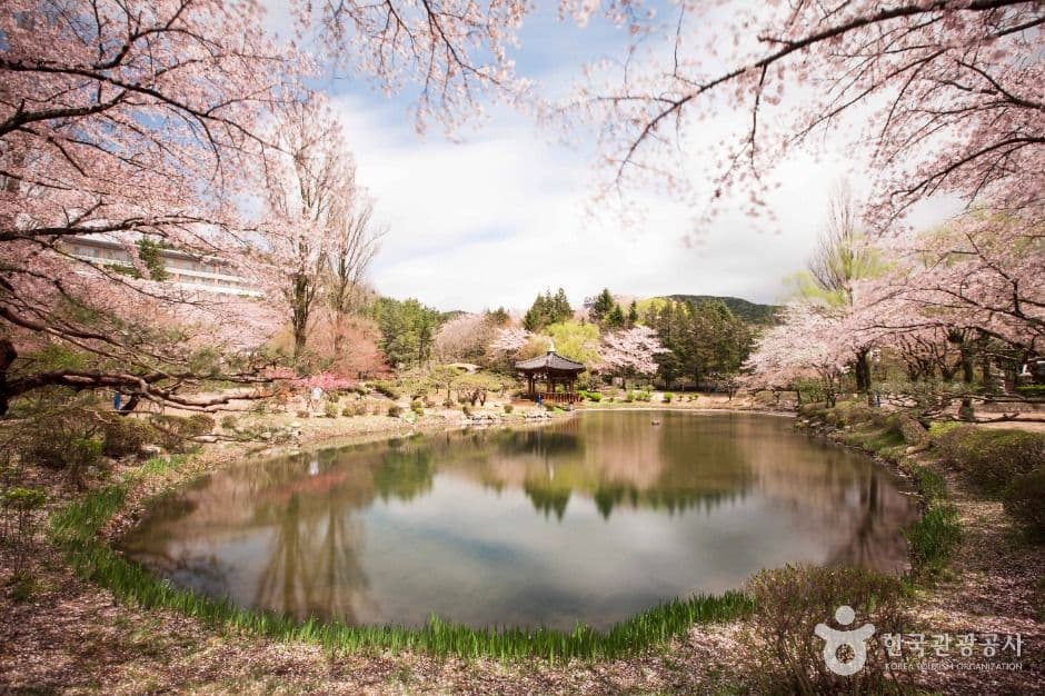 경주_경주 보문관광단지 (4)