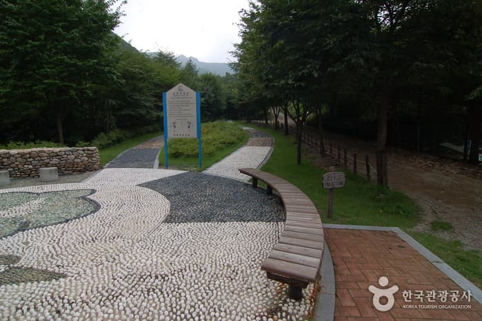 가리산자연휴양림_09