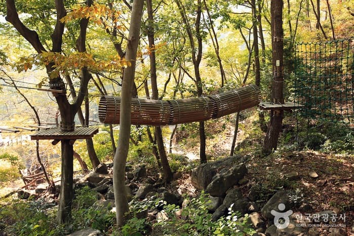 전남_장성_호호~ 깔깔~ 즐거운 숲에서 놀자, 장성 방장산자연휴양림12