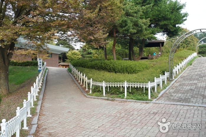 세종특별자치시_금강자연휴양림09