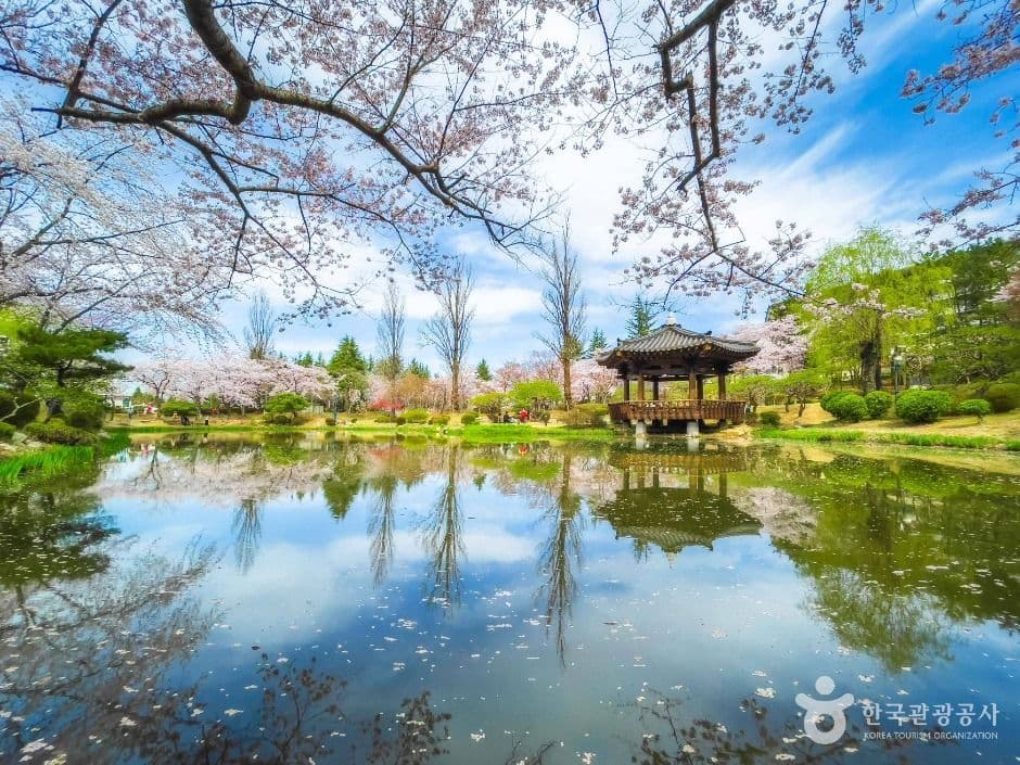 경주_경주 보문관광단지 (5)