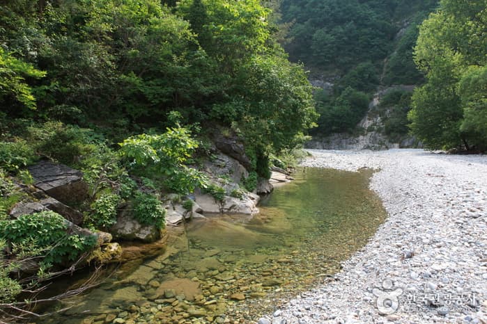 정선덕산기트레킹7