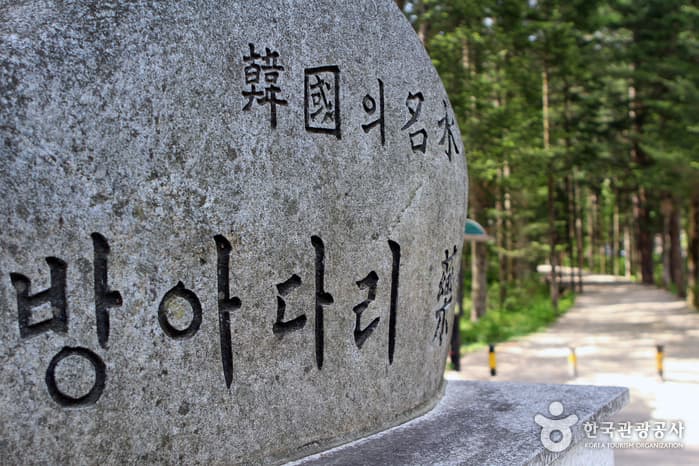 강원_평창_방황하는 칼날 촬영지04