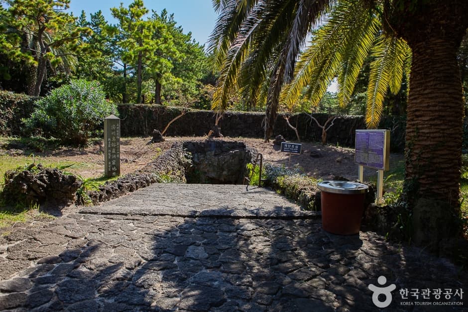 협재굴(한림공원) (13)