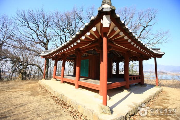 면앙정과 참나무_10