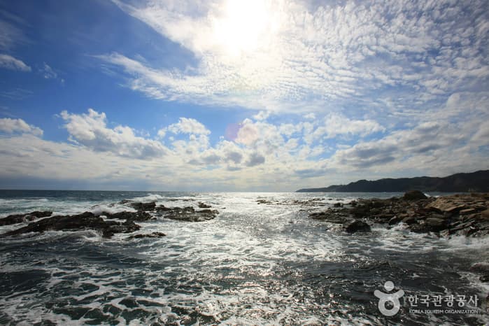 대게원조마을_033