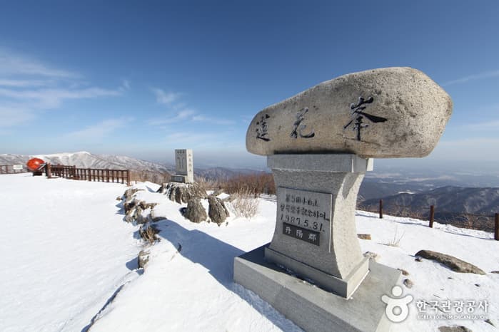 소백산연화봉_67