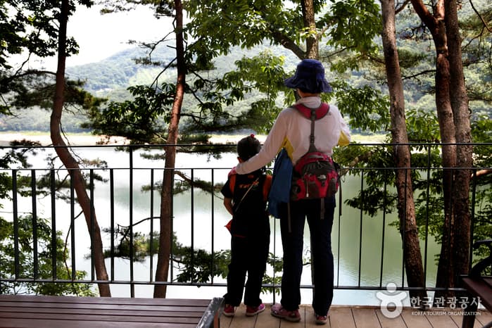 전남_담양_담양의 힐링 로드, 용마루길과 금성산성길07