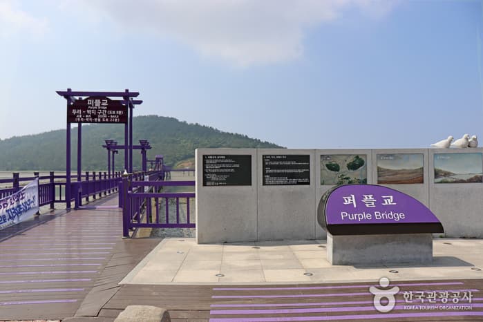 전남_신안_반월도·박지도_퍼플교1