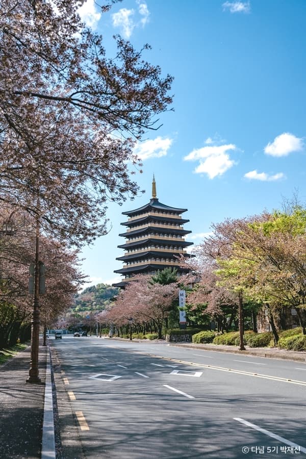 경주_황룡원_봄날의 황룡원