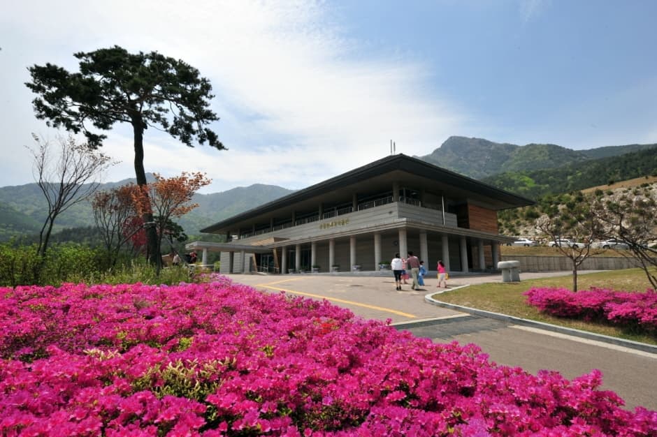 동의보감촌 (3)