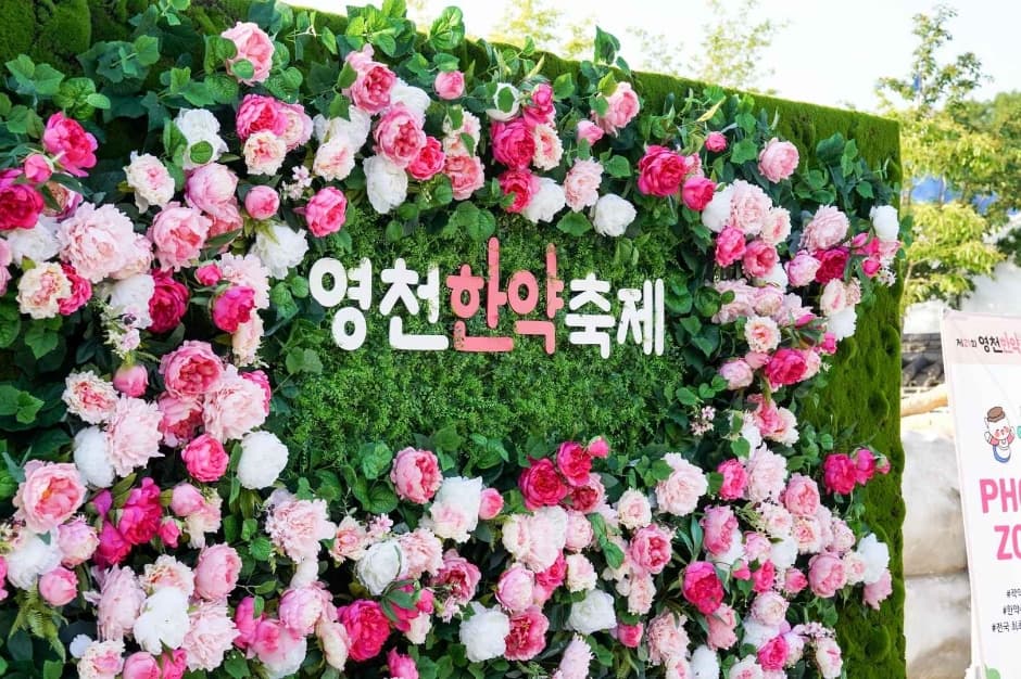 2024 영천한약축제 이미지 8