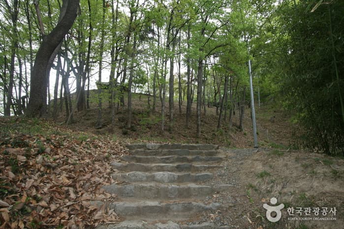 전라남도 담양군 면앙정_03