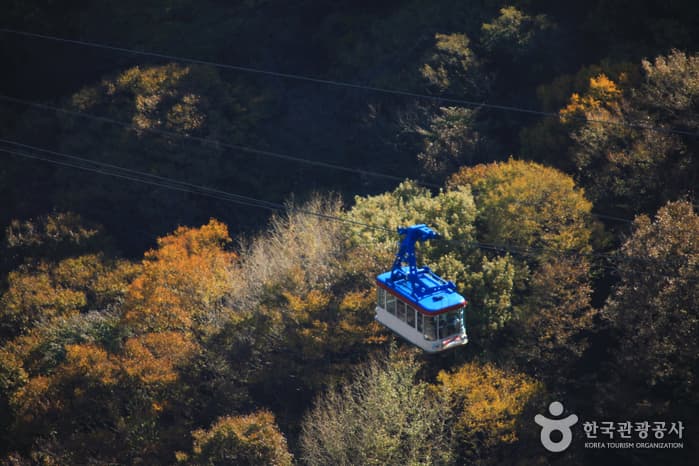 전라북도_정읍시_내장산 케이블카_013