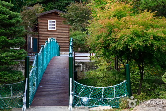 Seongjubong Recreational Forest (성주봉자연휴양림)