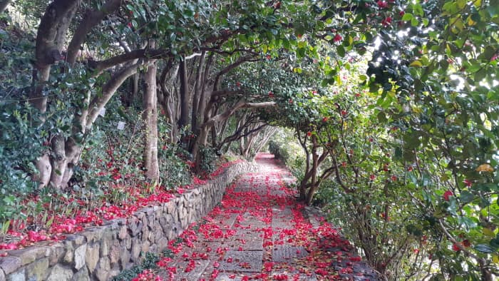 장사도해상공원_(4)