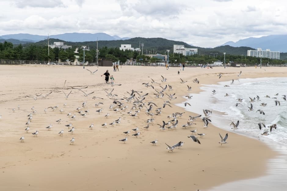 하조대해수욕장_4