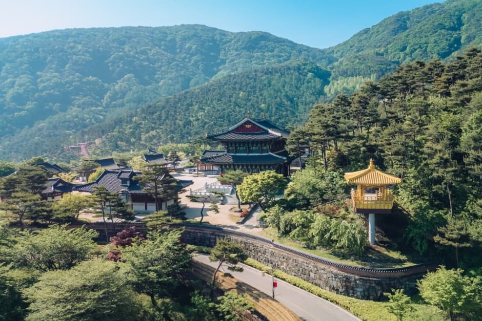 동의보감촌 (4)