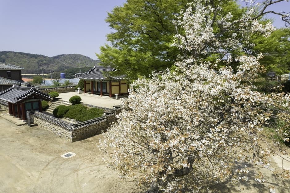 정충사 (1)