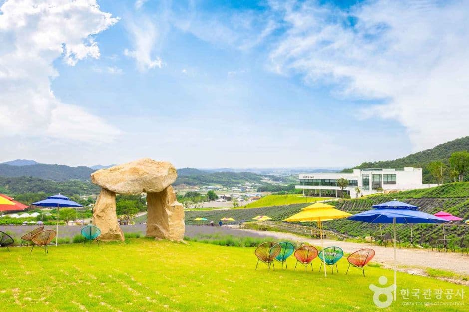 허브원 (6)