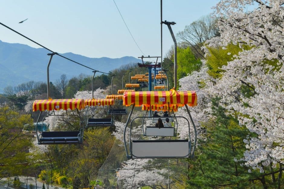 과천_스카이리프트 (3)