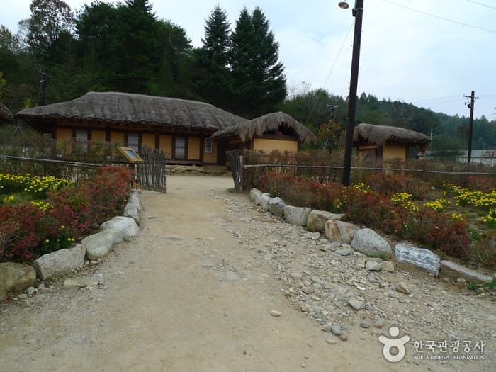 평창 이효석문화마을 (46)