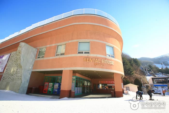 양지파인리조트 렌탈하우스