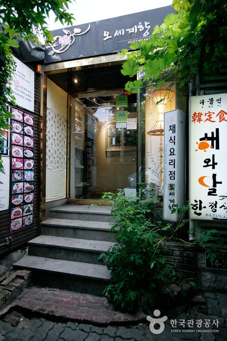 서울_종로_오세계향(채식전문점)06