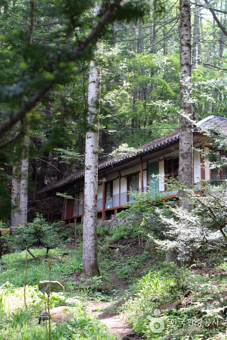 강원_평창_방황하는 칼날 촬영지07