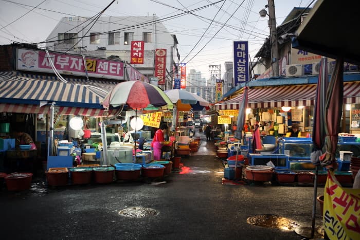 마산어시장 횟집거리