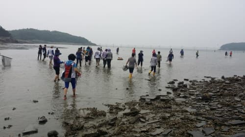 군산_신시도_(2)