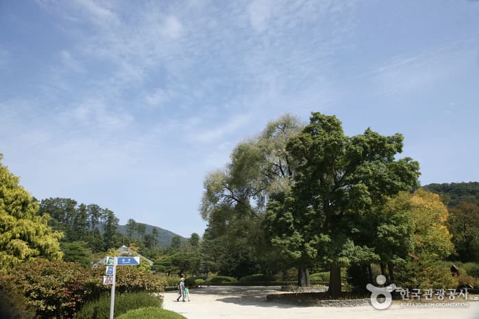 Korea National Arboretum and Forest Museum (Gwangneung Forest) (국립수목원 (광릉숲))