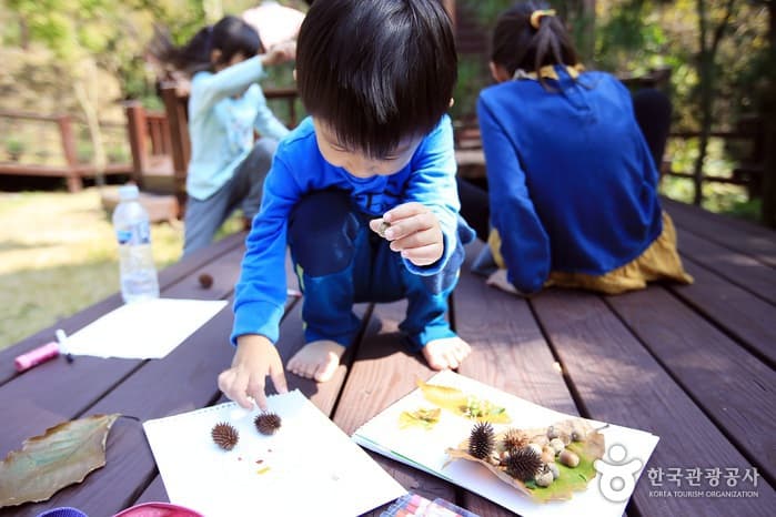 전남_장성_호호~ 깔깔~ 즐거운 숲에서 놀자, 장성 방장산자연휴양림16