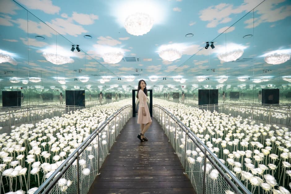 중문관광단지 (6)