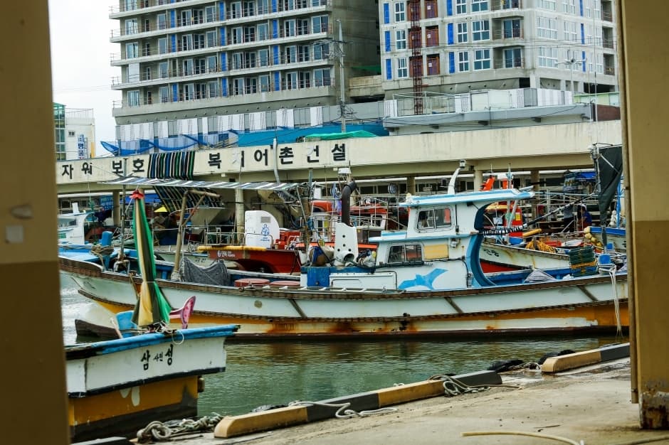 Sacheonjin Port (사천진항)