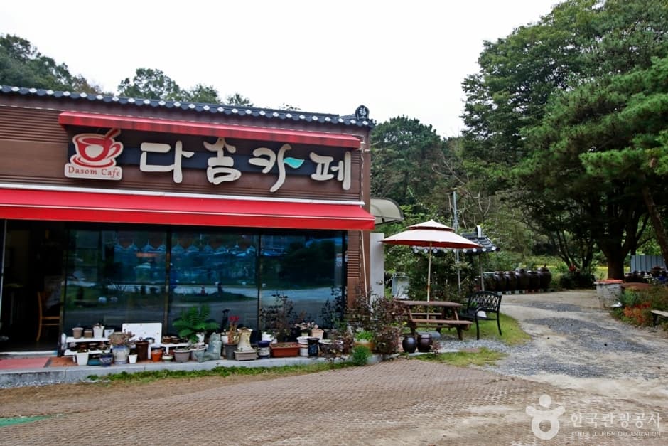 대전 다솜차반 (4)