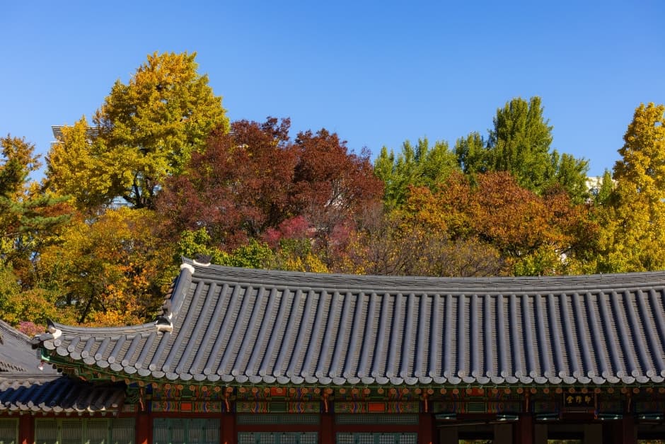 [아시아중동]덕수궁10(전경)_일반_1유형