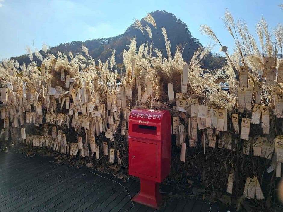 Sanjeonghosu Lake Myeongseonsan Mountain Eulalia Festival (포천 산정호수 명성산 억새꽃축제)