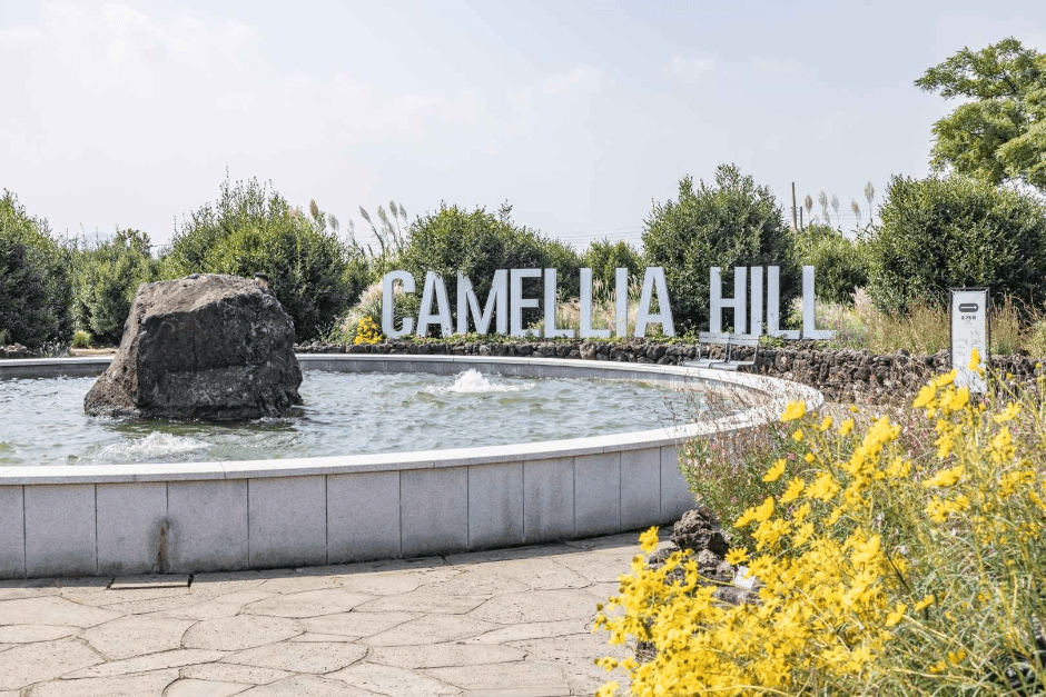 카멜리아힐 (3)