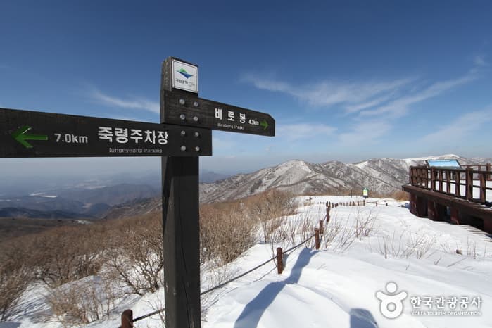 소백산연화봉_64