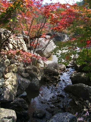 삼성궁_03_계곡