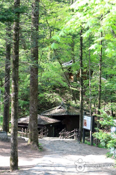 강원_평창_방황하는 칼날 촬영지08