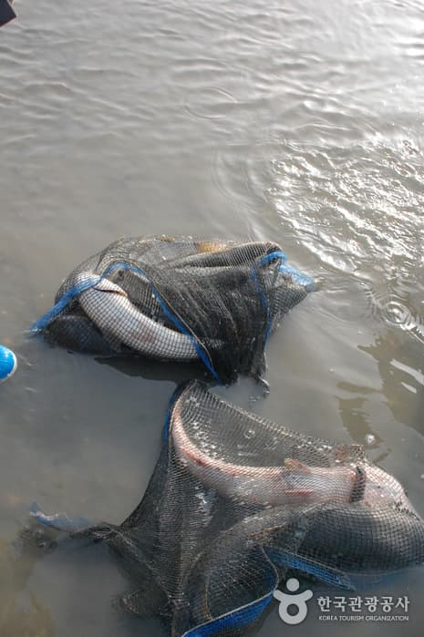 전북_군산_신시도30