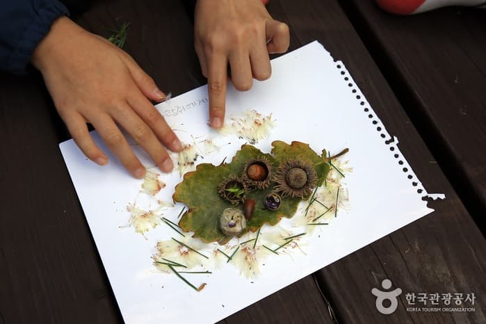전남_장성_호호~ 깔깔~ 즐거운 숲에서 놀자, 장성 방장산자연휴양림17